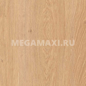 Ламинат Kastamonu Floorplan Blue FP041 Дуб Алжирский кремовый Ламинат Kastamonu Floorplan Blue FP041 Дуб Алжирский кремовый